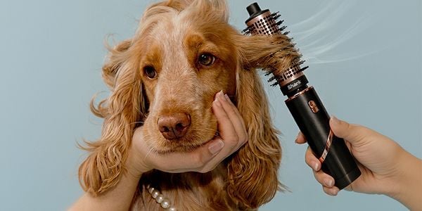 Your new everyday hair tool